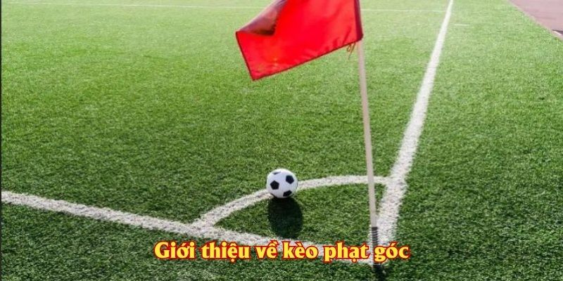 Giới thiệu về kèo phạt góc